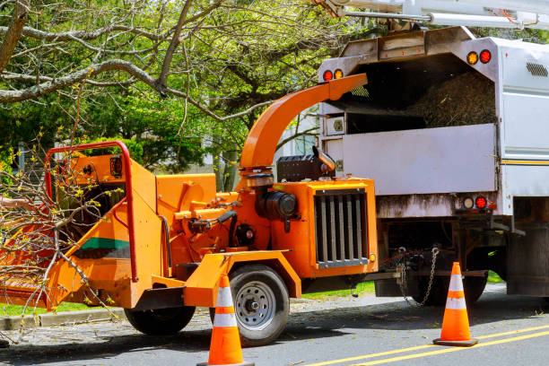 Best Emergency Tree Removal  in Yreka, CA